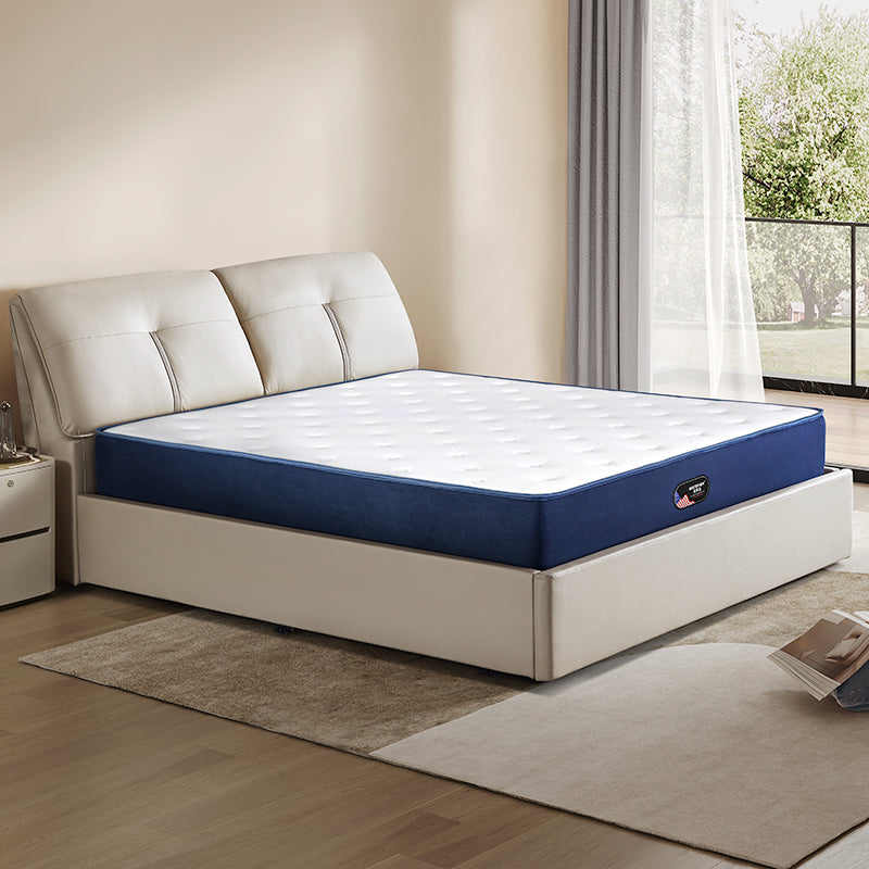 12 Inch Pocket Coil Roll Up Compressed Blue Mattress In A Box